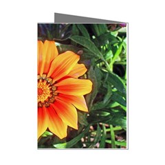 Flower In A Parking Lot Mini Greeting Card (8 Pack)