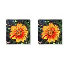 Flower In A Parking Lot Cufflinks (square) by sirhowardlee