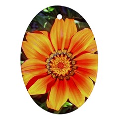 Flower In A Parking Lot Oval Ornament (two Sides)