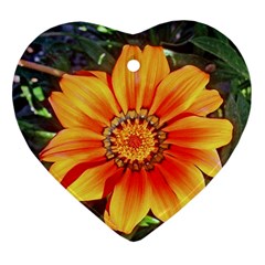 Flower In A Parking Lot Heart Ornament (two Sides) by sirhowardlee