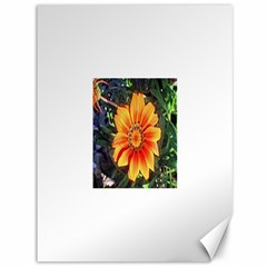 Flower In A Parking Lot Canvas 36  X 48  (unframed) by sirhowardlee