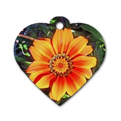 Flower In A Parking Lot Dog Tag Heart (two Sided) by sirhowardlee