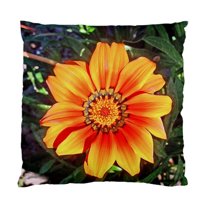 Flower In A Parking Lot Cushion Case (Single Sided) 