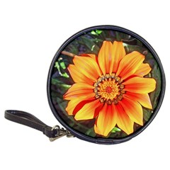 Flower In A Parking Lot Cd Wallet