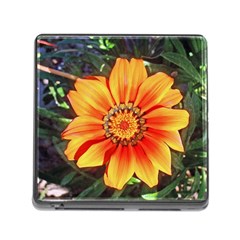 Flower In A Parking Lot Memory Card Reader With Storage (square) by sirhowardlee