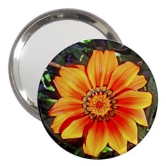 Flower In A Parking Lot 3  Handbag Mirror by sirhowardlee