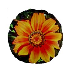 Flower In A Parking Lot 15  Premium Round Cushion  by sirhowardlee