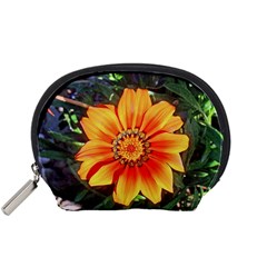 Flower In A Parking Lot Accessory Pouch (small)