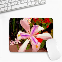 African Iris Small Mouse Pad (rectangle) by sirhowardlee