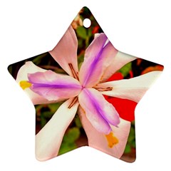 African Iris Star Ornament by sirhowardlee