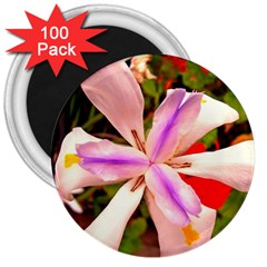 African Iris 3  Button Magnet (100 Pack) by sirhowardlee