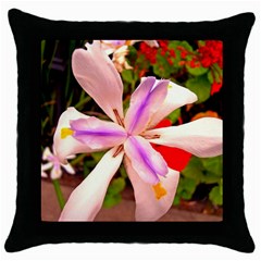 African Iris Black Throw Pillow Case by sirhowardlee