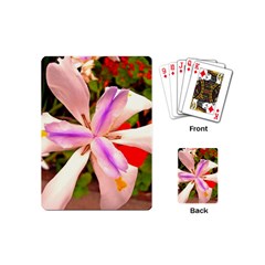 African Iris Playing Cards (mini) by sirhowardlee