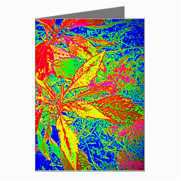 Sun Coleus Enhanced Greeting Card