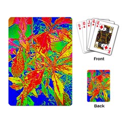 Sun Coleus Enhanced Playing Cards Single Design