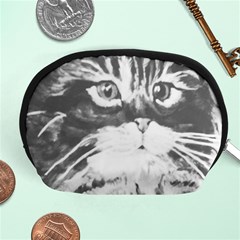 Kitten Accessory Pouch (medium) by JUNEIPER07