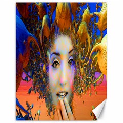 Organic Medusa Canvas 18  X 24  (unframed) by icarusismartdesigns