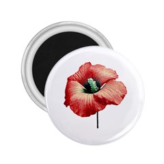 Your Flower Perfume 2 25  Button Magnet by dflcprints