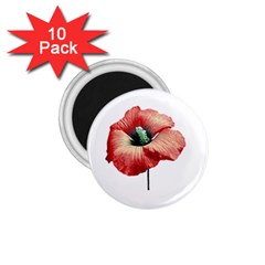 Your Flower Perfume 1 75  Button Magnet (10 Pack) by dflcprints