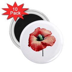 Your Flower Perfume 2 25  Button Magnet (10 Pack) by dflcprints