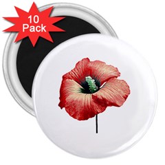 Your Flower Perfume 3  Button Magnet (10 pack)