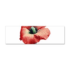 Your Flower Perfume Bumper Sticker by dflcprints