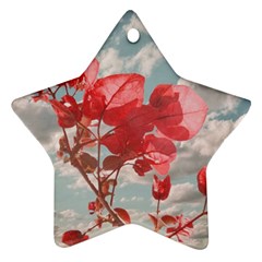 Flowers In The Sky Star Ornament by dflcprints