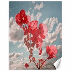 Flowers In The Sky Canvas 12  X 16  (unframed) by dflcprints