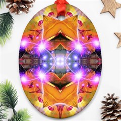 Abstract Flower Oval Ornament (two Sides) by icarusismartdesigns