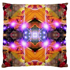 Abstract Flower Large Cushion Case (single Sided)  by icarusismartdesigns