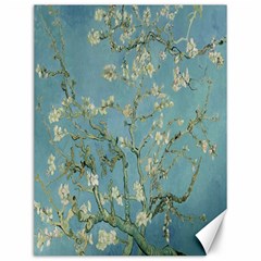 Vincent Van Gogh, Almond Blossom Canvas 12  X 16  (unframed) by Oldmasters