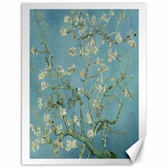 Vincent Van Gogh, Almond Blossom Canvas 18  X 24  (unframed)