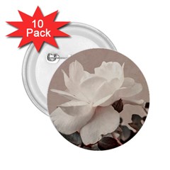 White Rose Vintage Style Photo In Ocher Colors 2 25  Button (10 Pack) by dflcprints