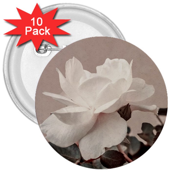 White Rose Vintage Style Photo in Ocher Colors 3  Button (10 pack)