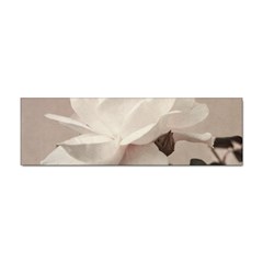 White Rose Vintage Style Photo In Ocher Colors Bumper Sticker by dflcprints