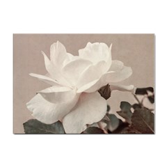 White Rose Vintage Style Photo In Ocher Colors A4 Sticker 100 Pack by dflcprints