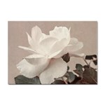 White Rose Vintage Style Photo in Ocher Colors A4 Sticker 100 Pack Front