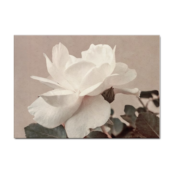 White Rose Vintage Style Photo in Ocher Colors A4 Sticker 100 Pack