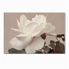 White Rose Vintage Style Photo In Ocher Colors Postcards 5  X 7  (10 Pack) by dflcprints