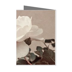 White Rose Vintage Style Photo In Ocher Colors Mini Greeting Card (8 Pack) by dflcprints