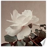 White Rose Vintage Style Photo in Ocher Colors Canvas 16  x 16  (Unframed) 15.2 x15.41  Canvas - 1