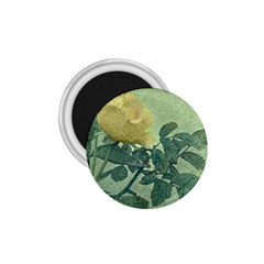 Yellow Rose Vintage Style  1 75  Button Magnet by dflcprints