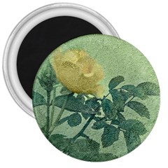 Yellow Rose Vintage Style  3  Button Magnet by dflcprints