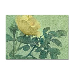 Yellow Rose Vintage Style  A4 Sticker 100 Pack by dflcprints