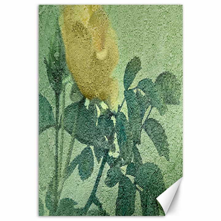 Yellow Rose Vintage Style  Canvas 12  x 18  (Unframed)