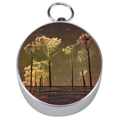 Fantasy Landscape Silver Compass by dflcprints