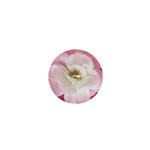 White Rose with Pink Leaves Around  1  Mini Button Front