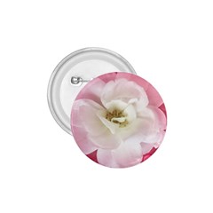 White Rose With Pink Leaves Around  1 75  Button by dflcprints