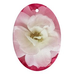 White Rose With Pink Leaves Around  Oval Ornament by dflcprints