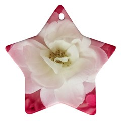 White Rose With Pink Leaves Around  Star Ornament by dflcprints